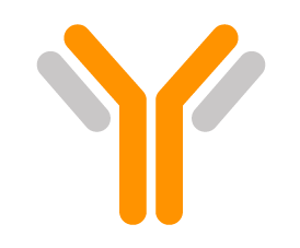 Human Cell Differentiation Molecules